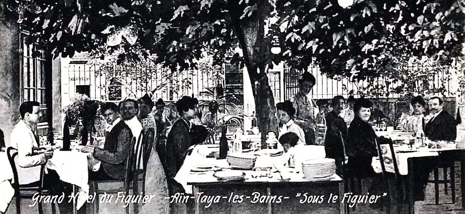 1349- Ain-Taya - Grand hotel du Figuier2.jpg
